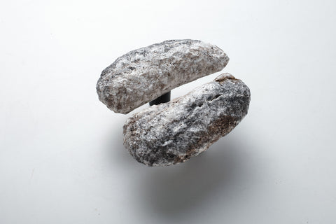 Oyster-Shaped Door Handles