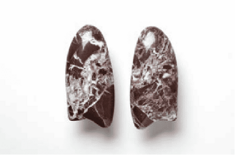 Arrow-Shaped Glass Door Handles