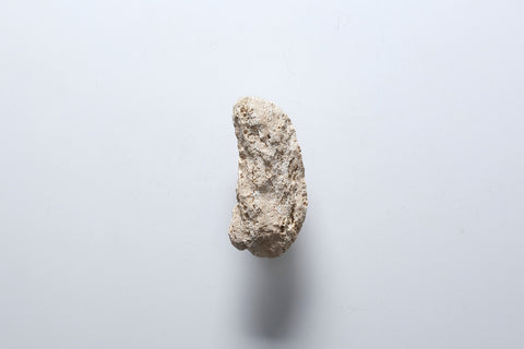 Oyster-Shaped Door Handles