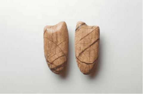 Arrow-Shaped Glass Door Handles