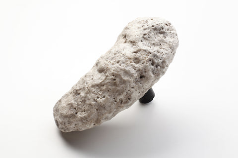 Oyster-Shaped Door Handles