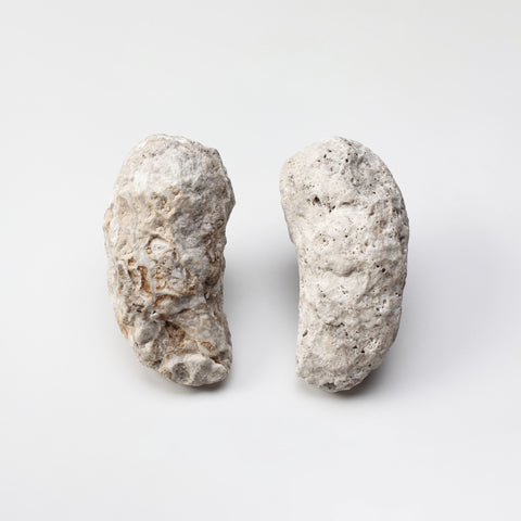 Oyster-Shaped Door Handles
